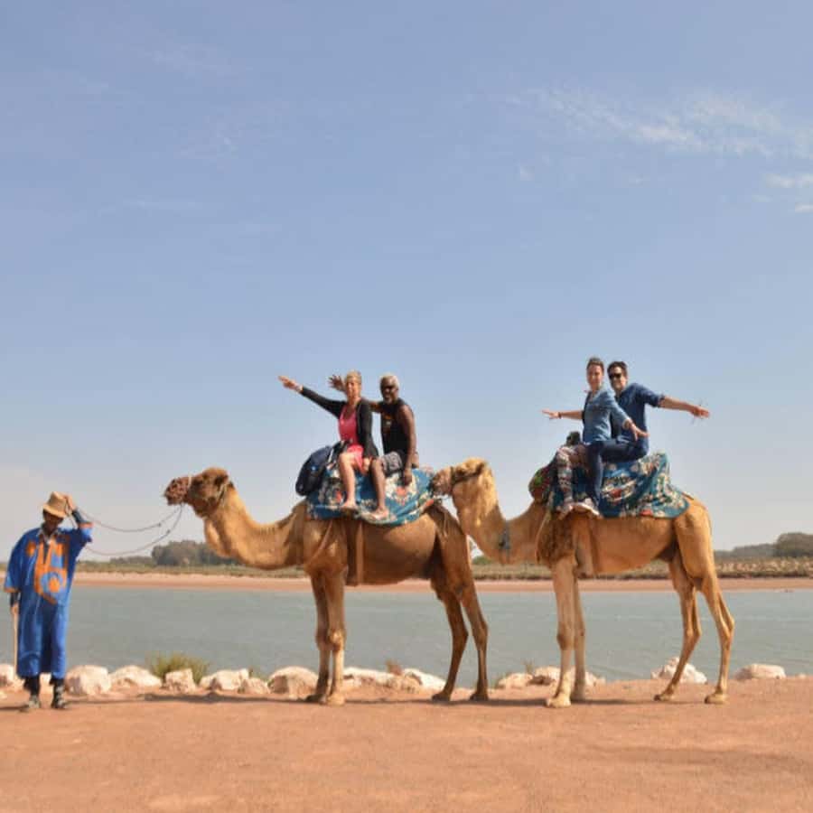 From Agadir: Souss River Camel Ride - Sunset light and the distant Royal Palace