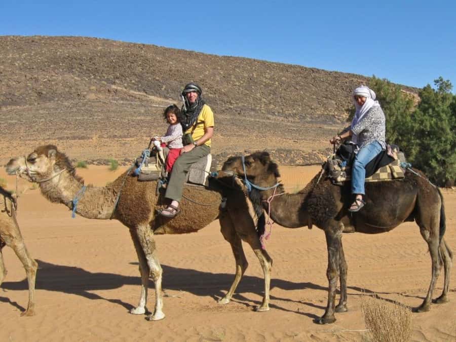 From Agadir: Souss River Camel Ride - Who will enjoy this Agadir activity?