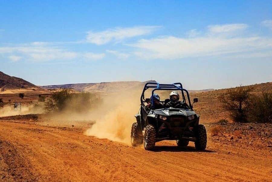 From Agadir/Taghazout: Buggy Safari Adventure & Moroccan Tea - Goats in the argan trees