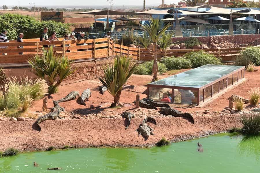 From Agadir/Taghazout: Buggy Safari Adventure & Moroccan Tea - The 20-minute drive from Agadir or Taghazout