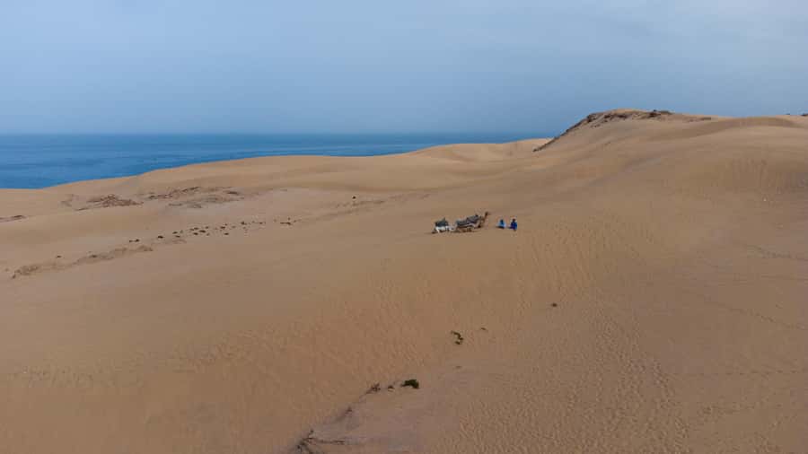 From Agadir/Taghazout: Sahara Sand Dunes with Transfer - Taghazout, Tamraght, and Tamri on the way