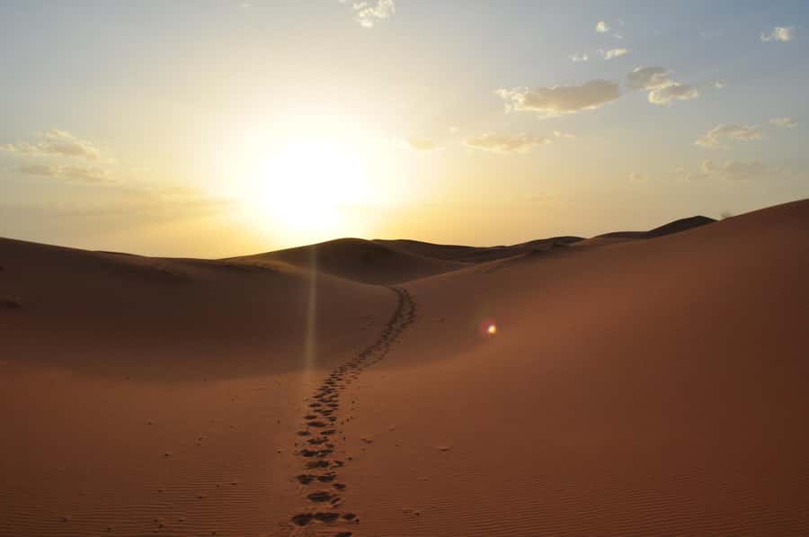 From Agadir/Taghazout: Sahara Sand Dunes with Transfer - What time at the dunes feels like