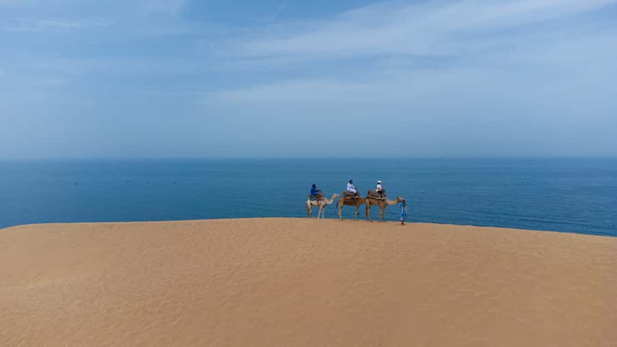 From Agadir/Taghazout: Sahara Sand Dunes with Transfer - The guide makes the difference