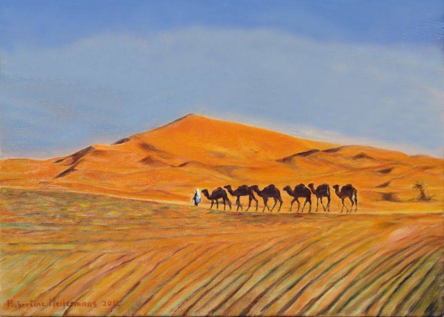 From Agadir/Taghazout: Sahara Sand Dunes with Transfer - What to bring and how to plan