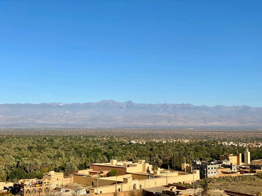 From Agadir: Taroudant and Tiout Day Tour with Lunch - Leaving Agadir and watching for tree-climbing goats