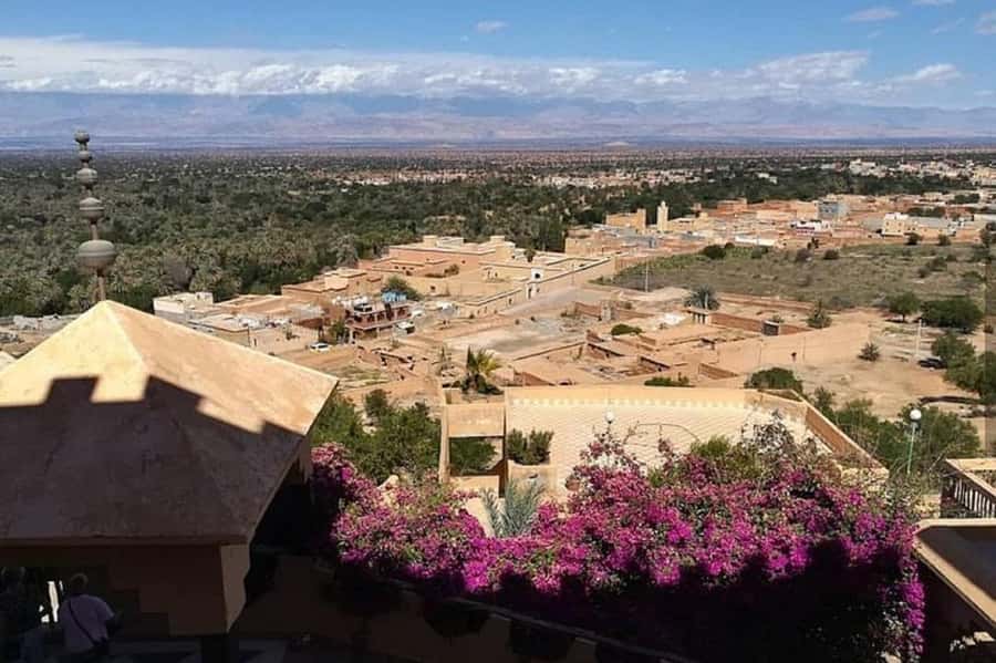 From Agadir: Taroudant and Tiout Day Tour with Lunch - Booking flexibility and group details