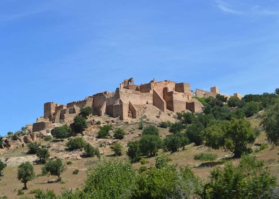 From Agadir: Taroudant & Tiout guided excursion - Tiout Oasis, lunch, and the Berber village