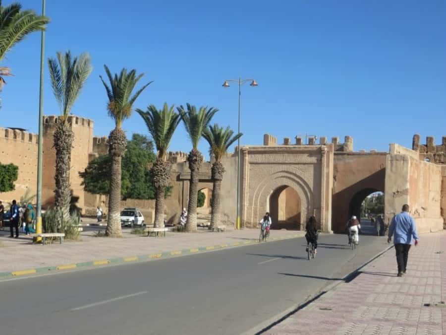From Agadir: Taroudant & Tiout guided excursion - The goat stop and a useful tip about tips