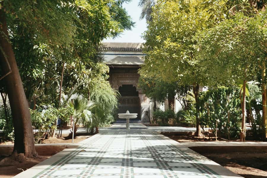 From Casablanca: Day Trip to Marrakech with Camel Ride - A short camel ride in the Palm Grove