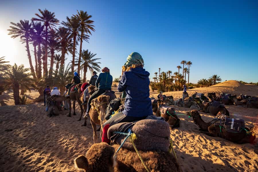 From Casablanca: Day Trip to Marrakech with Camel Ride - Mellah and the Bahia Palace