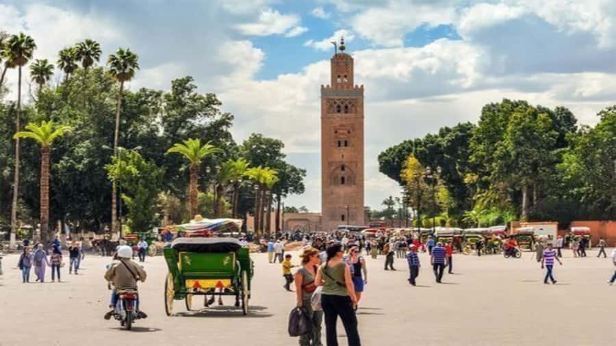 From Casablanca: Day Trip to Marrakech with Camel Ride - The Secret Garden and the cost of extra stops