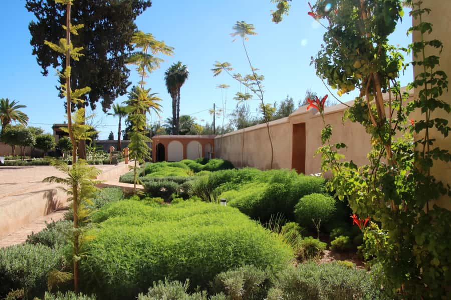From Casablanca: Marrakech Guided Day Trip with Camel Ride - Medieval lanes, souks, and shopping pressure