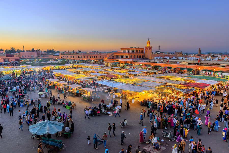 From Casablanca: Marrakech Guided Day Trip with Camel Ride - The Palmeraie camel ride