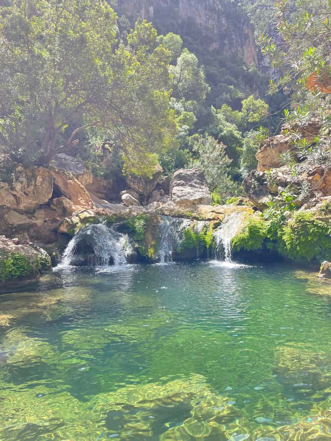 From Chefchaouen: Full-Day Trip to Akchour Waterfalls - Swimming, quiet pools, and possible monkeys