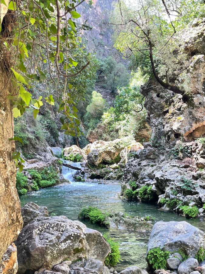 From Chefchaouen: Full-Day Trip to Akchour Waterfalls - The guides make the private format worthwhile