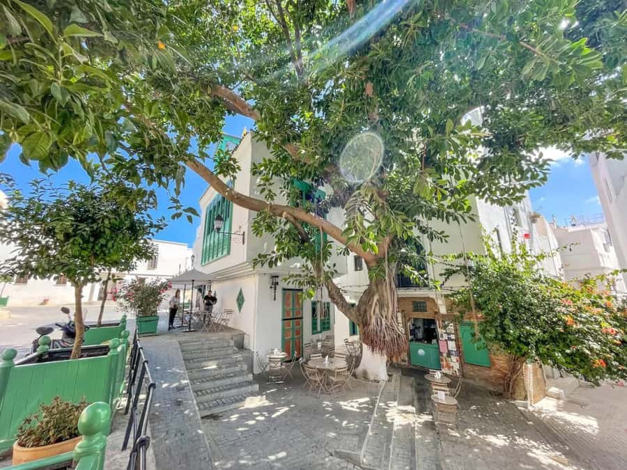 From Costa del Sol: Discover Tangier on a Guided Day Trip - Who will enjoy this day trip