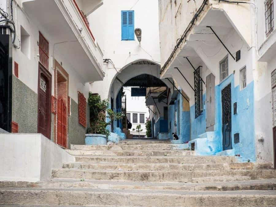 From Costa del Sol: Discover Tangier on a Guided Day Trip - Walking through the Kasbah and Medina