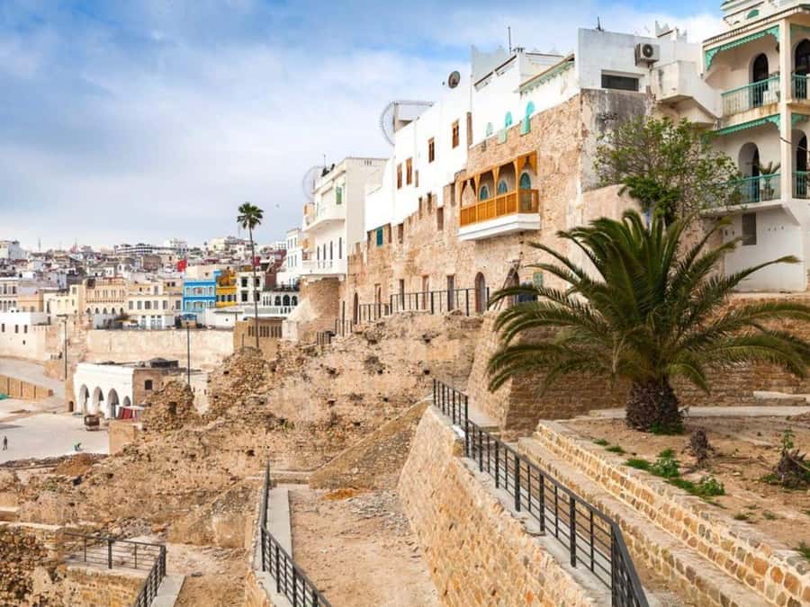 From Costa del Sol: Discover Tangier on a Guided Day Trip - What the $212 price really buys