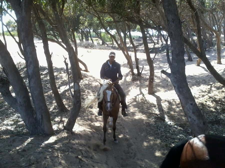 From Essaouira: 1-Hour Horse Ride - Views toward Mogador Island
