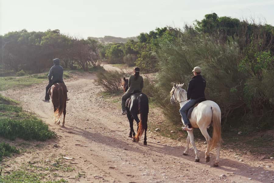 From Essaouira: 1-Hour Horse Ride with sunset - Key points before you book
