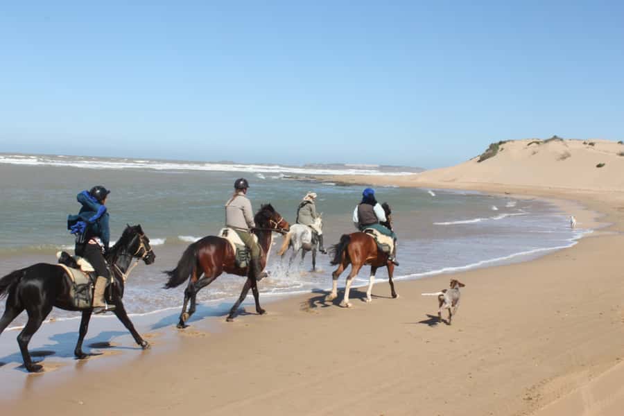 From Essaouira: 1-Hour Horse Ride with sunset - From Petite Porte de Bab Marrakech to the Ranch de Diabat