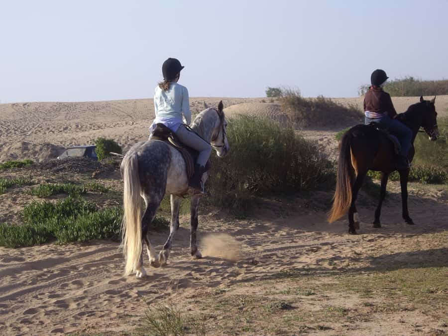 From Essaouira: 1-Hour Horse Ride with sunset - Practical details that make the hour better