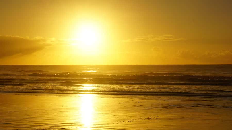 From Essaouira: 1-Hour Horse Ride with sunset - A ride adjusted to your experience