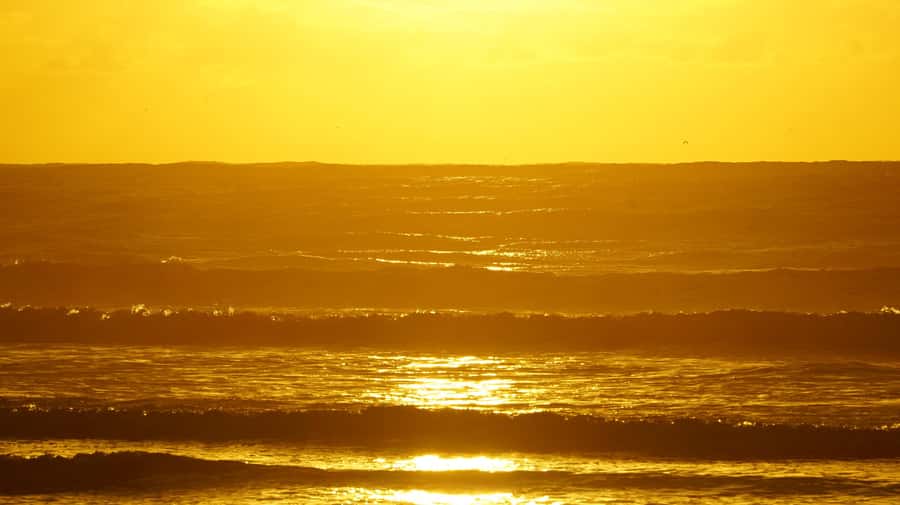 From Essaouira: 2h Horseback Ride with Sunset - At a glance