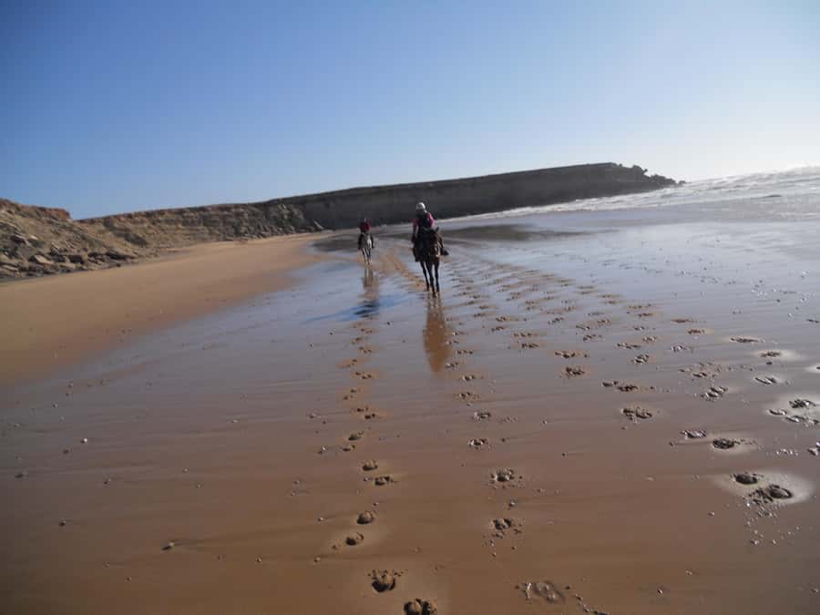 From Essaouira: 2h Horseback Ride with Sunset - From Essaouira to Diabat by included pickup