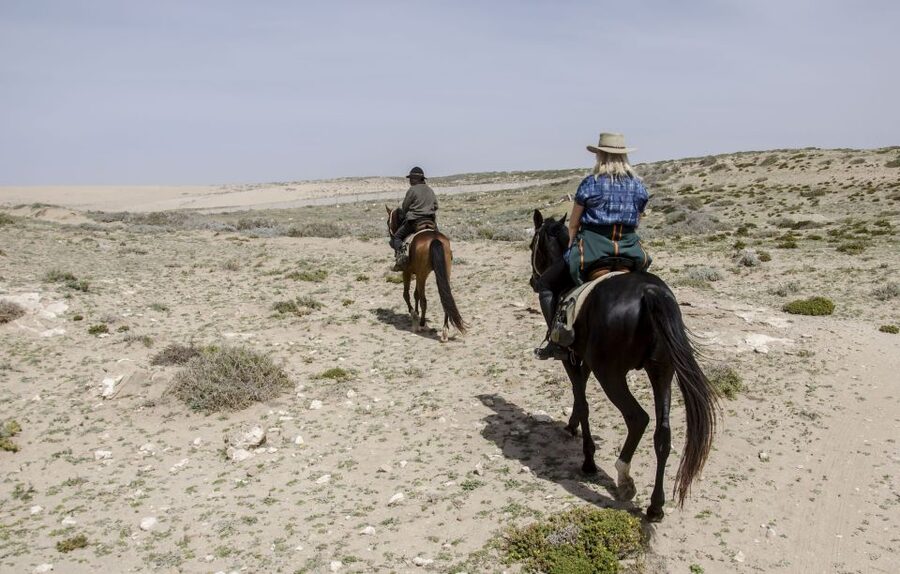 From Essaouira: 2h Horseback Ride with Sunset - How the guides handle beginners and children