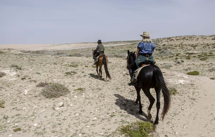 From Essaouira: Scenic Diabat Horseback Ride with Transfer - Key points to know before booking