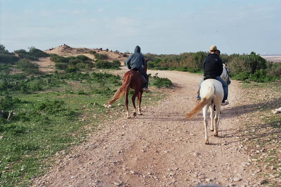 From Essaouira: Scenic Diabat Horseback Ride with Transfer - Who should book this horseback ride