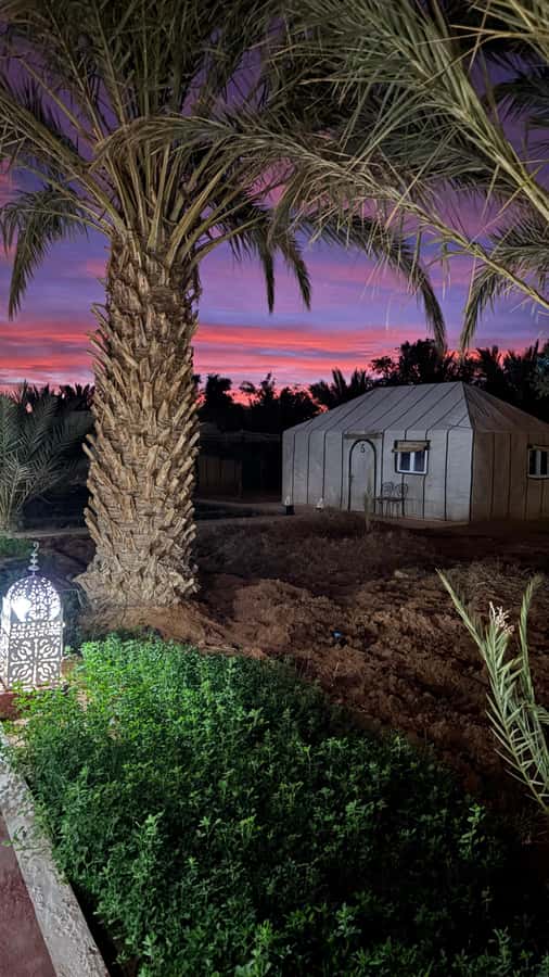 From Fes: 2-Day Desert Tour with Return to Fes or Marrakech - From Fes to the Sahara in one long day