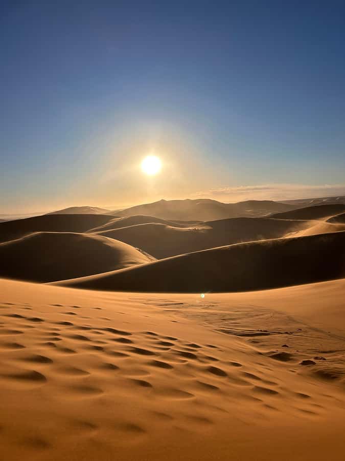 From Fes: 2-Day Desert Tour with Return to Fes or Marrakech - Cedar forest and Barbary macaques near Azrou