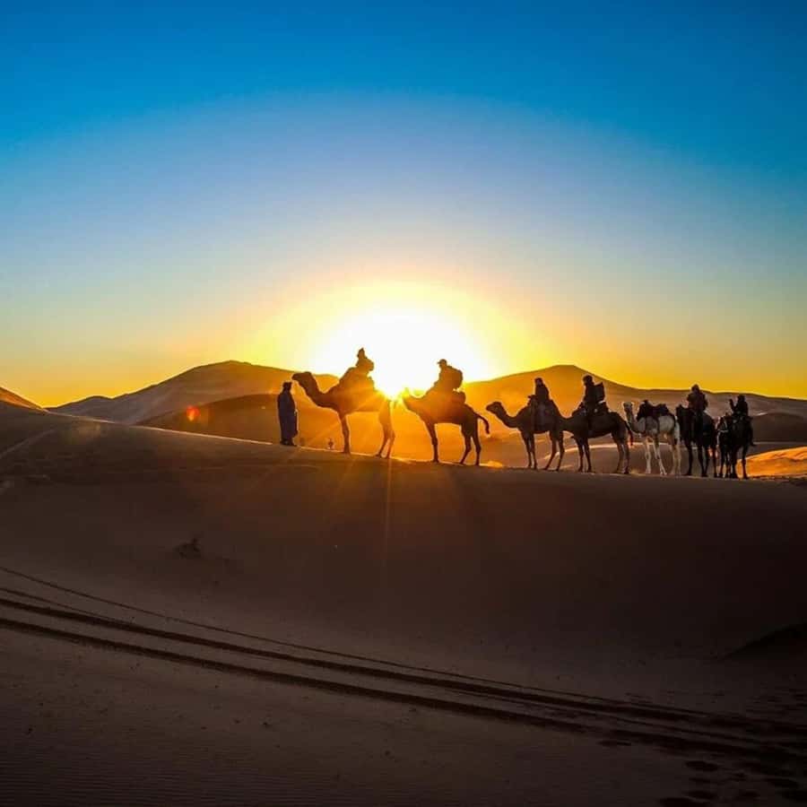 From Fes: 2-Day Luxury Desert Tour to Marrakech & Back Fez - Why the long road to Erg Chebbi can be worth it
