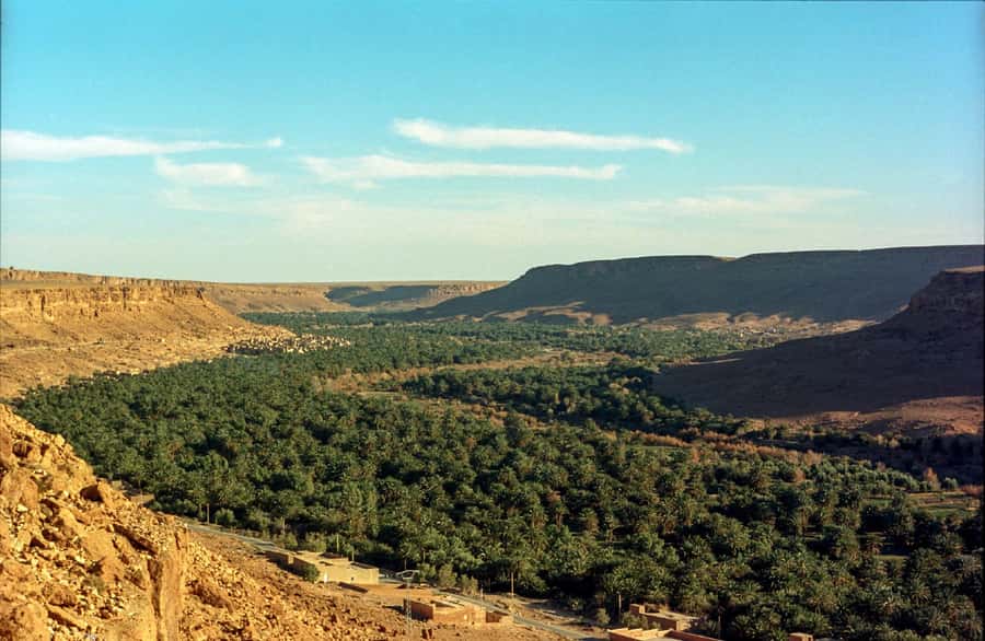 From Fes: 2-Day Luxury Desert Tour to Marrakech & Back Fez - Arriving at Erg Chebbi and choosing your camel