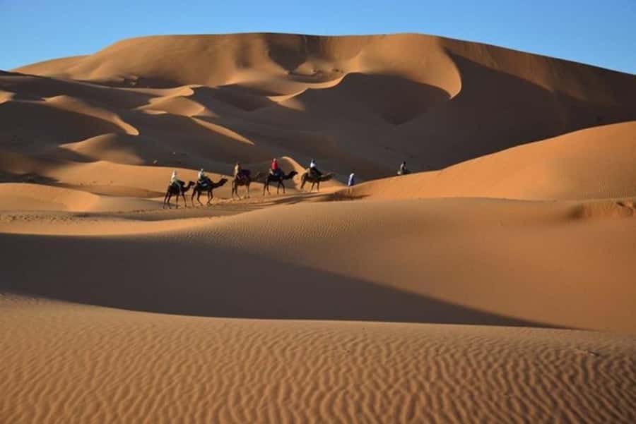 From Fes: 2-Day Luxury Desert Tour to Marrakech & Back Fez - Sunset, a clean tent, and a desert dinner