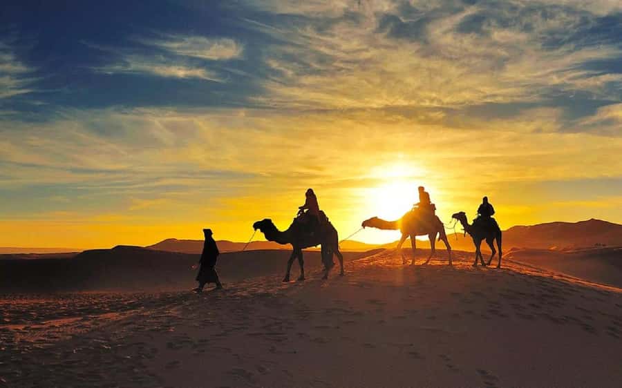 From Fes: 2-Day Luxury Desert Tour to Marrakech & Back Fez - Returning to Fes or continuing to Marrakech