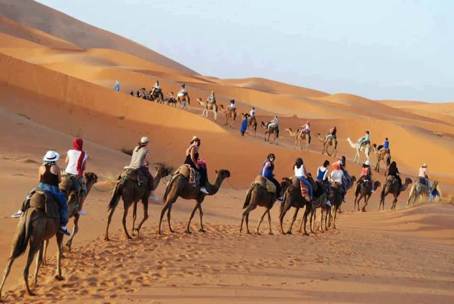 From Fes: 2-Day Luxury Desert Tour to Marrakech & Back Fez - What the $112 price really covers