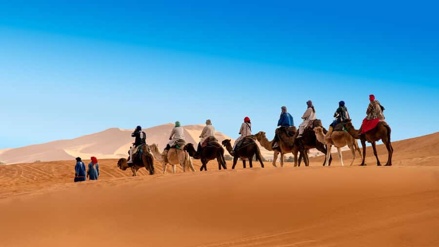 From Fes: 2-Day Luxury Desert Tour to Marrakech & Back Fez - Should you book it?