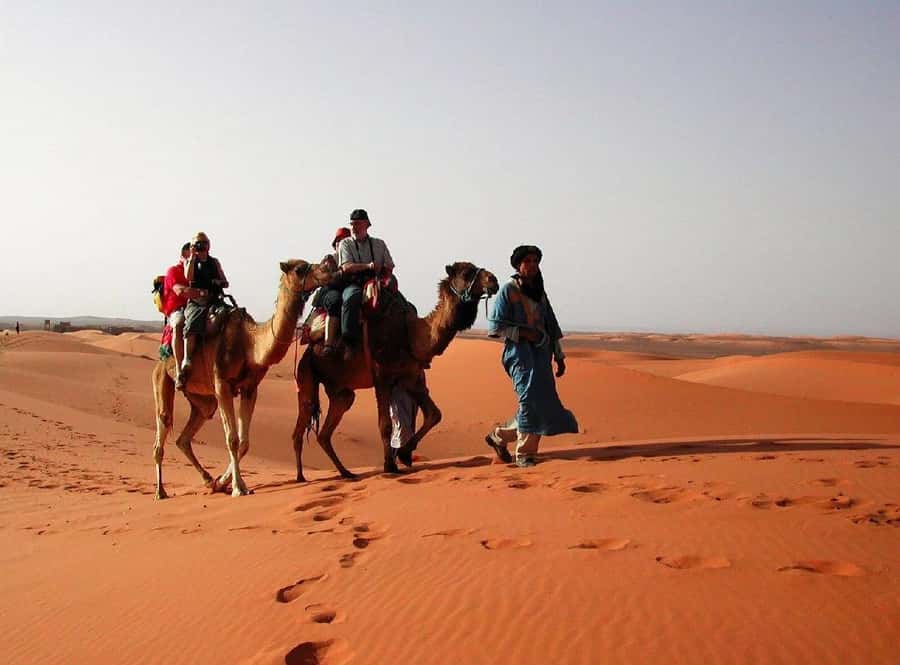 From Fes: 2-Day Luxury Desert Tour to Marrakech & Back Fez - Midelt lunch and the changing Ziz Valley