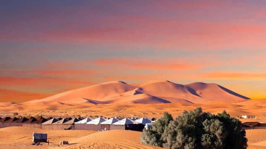 From Fes: 2-Day Merzouga Desert Trip w/Luxury Tent & Dinner - The real shape of this two-day desert trip