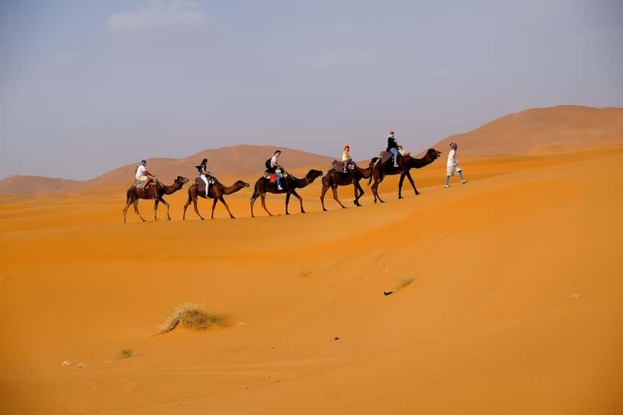 From Fes: 2-Day Merzouga Desert Trip w/Luxury Tent & Dinner - Reaching Merzouga by camel