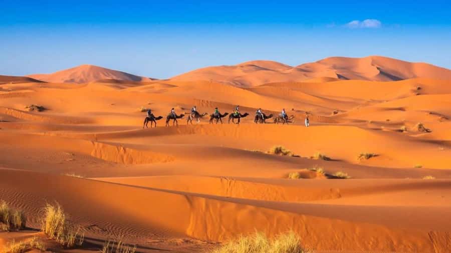 From Fes: 2-Day Merzouga Desert Trip w/Luxury Tent & Dinner - Luxury tents, dinner, and Berber music
