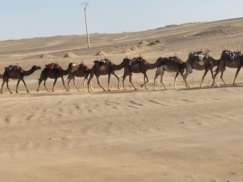 From Fes: 2 Day Round Trip Via Merzouga Desert & Camel Trek - Arriving in Merzouga for the camel ride