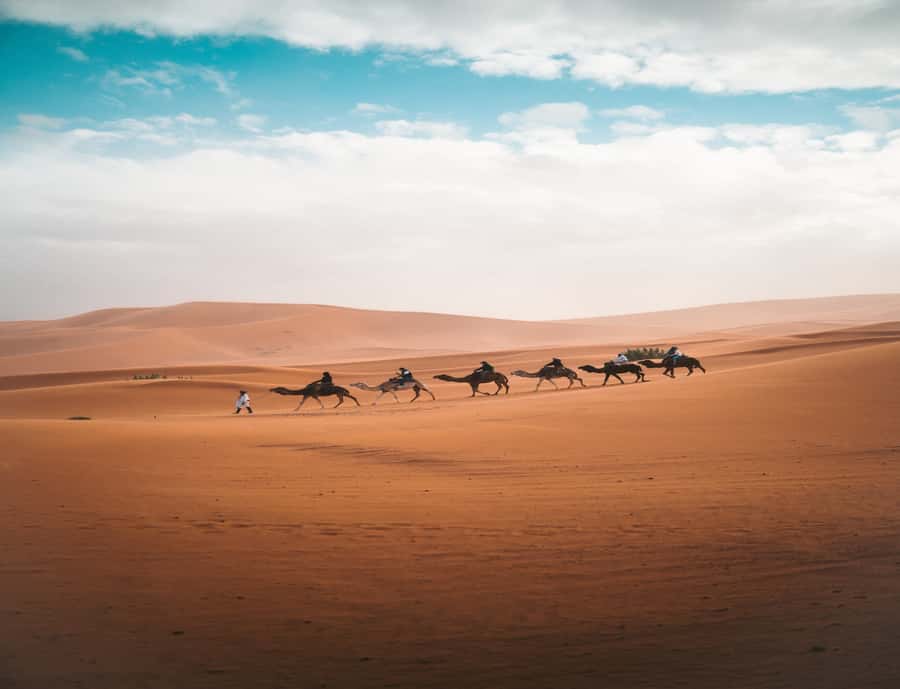 From Fes: 3-Day 2-Night Desert Tour to Marrakech - Why this route works in only three days