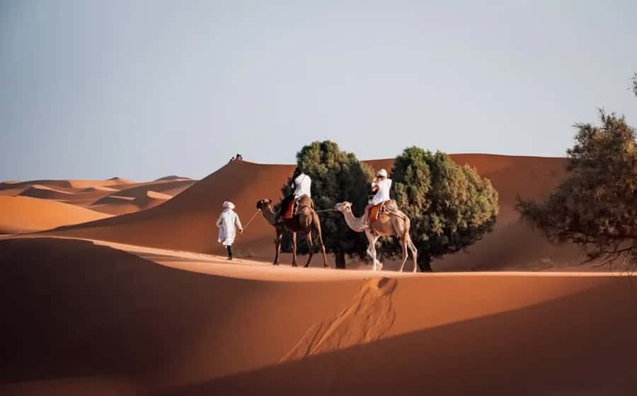 From Fes: 3-Day Luxury Desert Tour to Marrakech via Merzouga - Key points at a glance