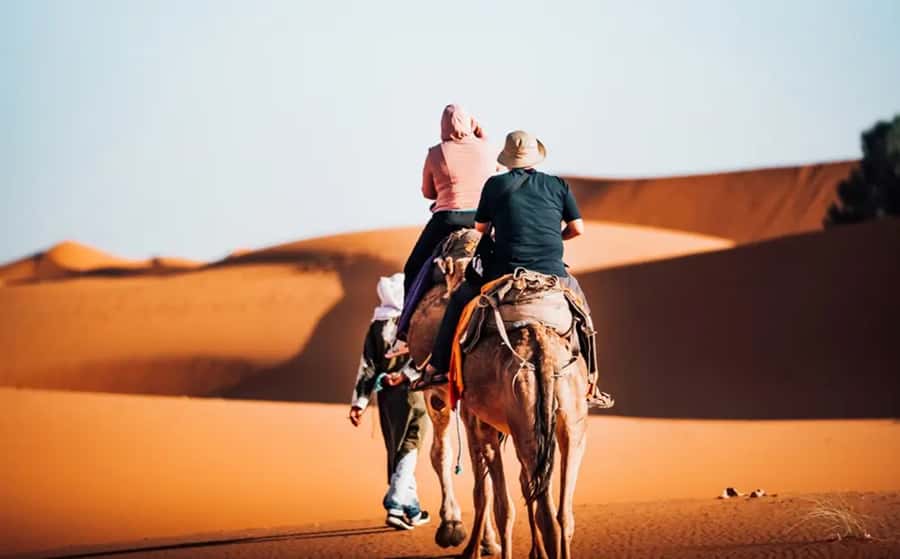 From Fes: 3-Day Luxury Desert Tour to Marrakech via Merzouga - Choosing between the standard and luxury desert camps