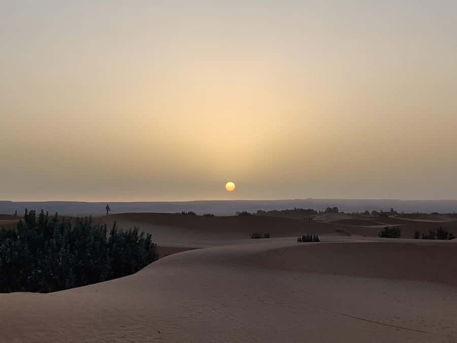 From Fes: 3-Day Luxury Desert Tour to Marrakech via Merzouga - The drivers are central to the experience