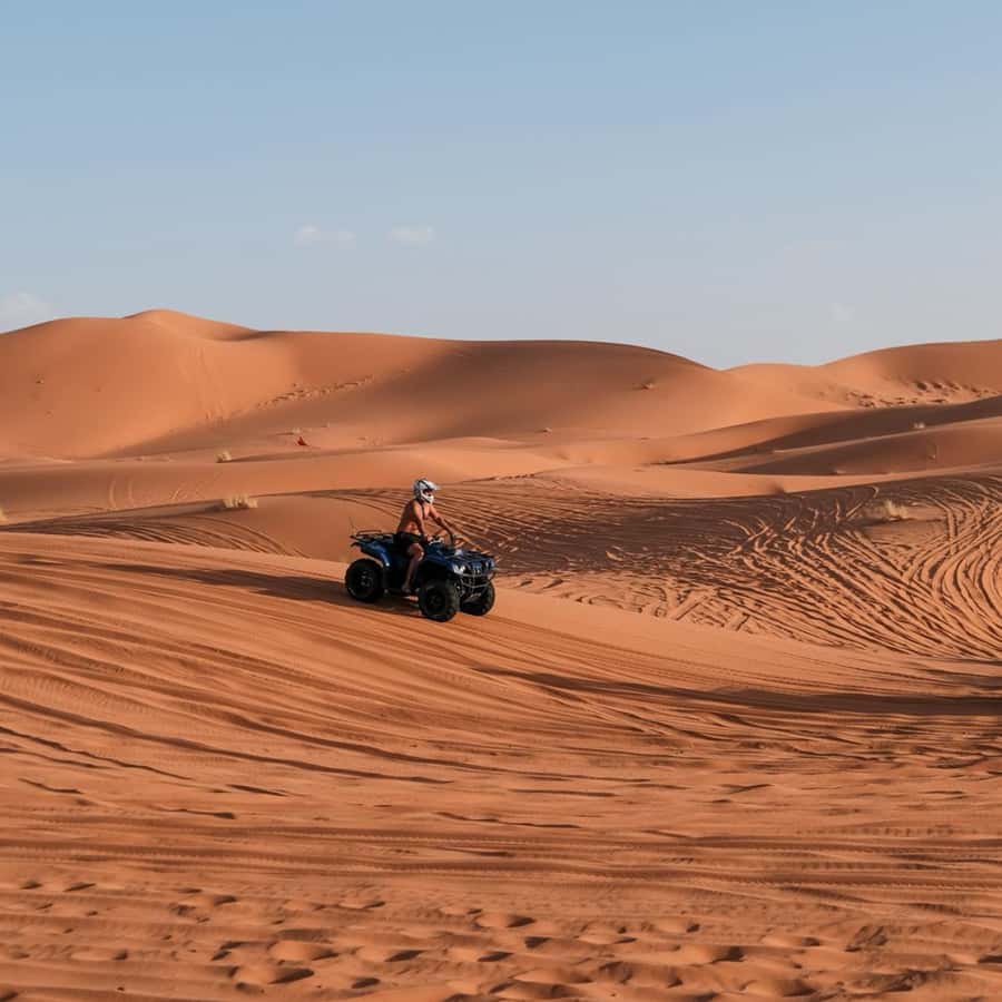 From Fes: 3 Day Magical Desert Camel Trek To Marrakech - From Fes to the cedar forests of Azrou